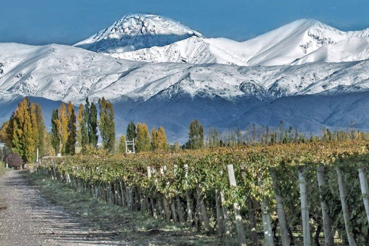 Mendoza