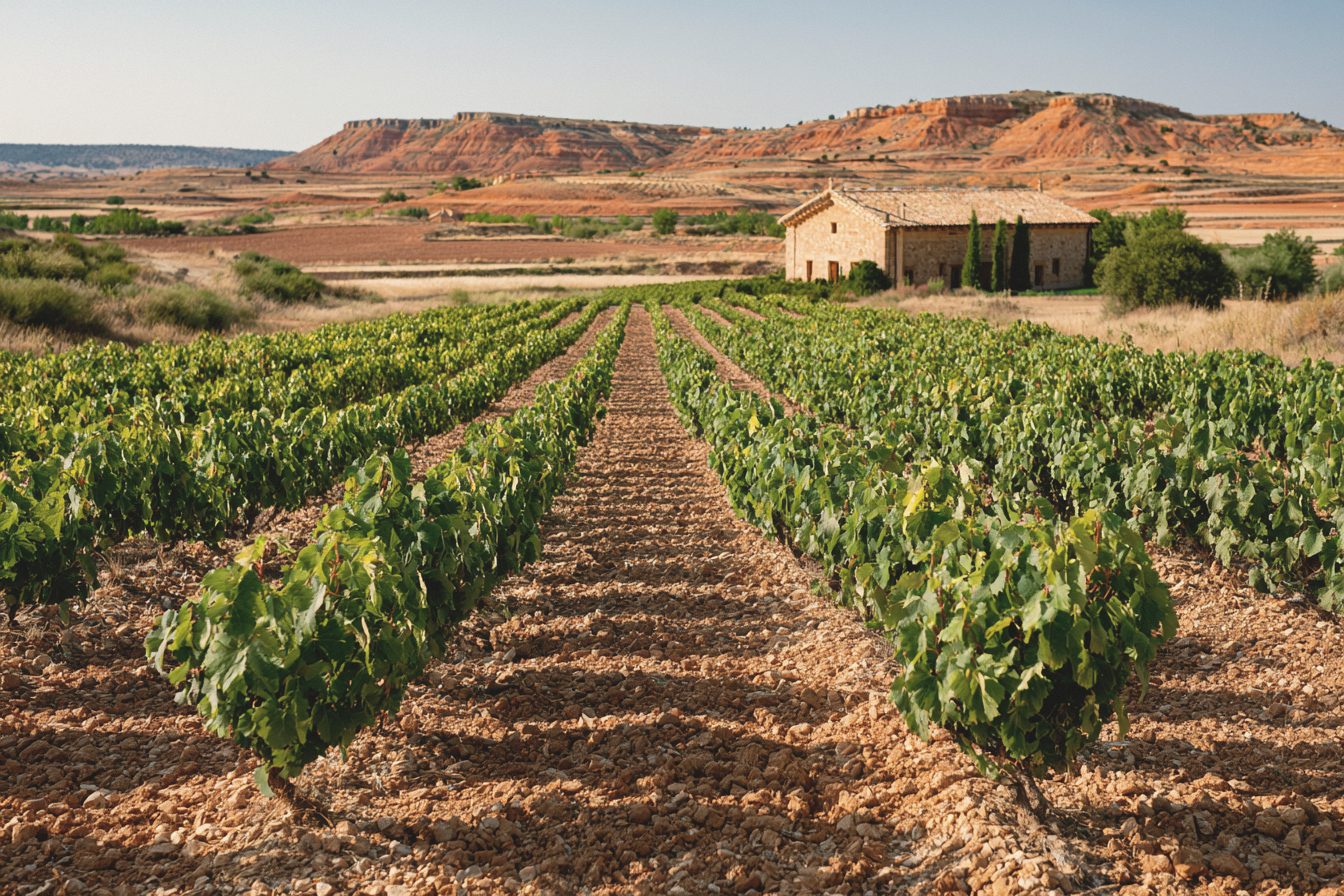 Ribera del Duero